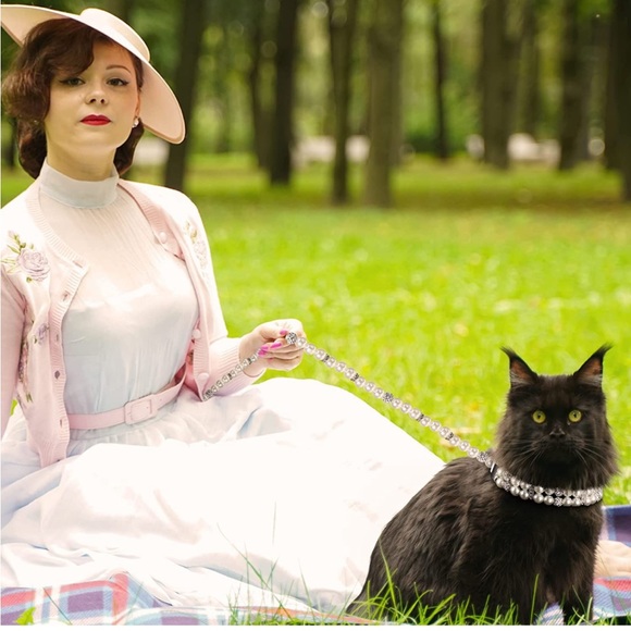 Artificial Pearl Collar with Two Row Pearl and Crystal Rhinestone for Do… - Picture 6 of 6